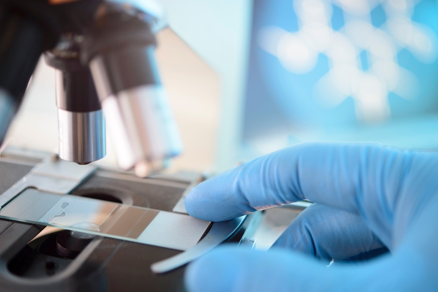 Gloved hand placing a tissue sample slide under a microscope for pathology review.